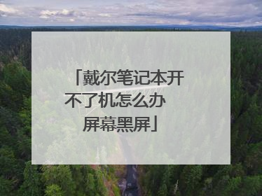 戴尔笔记本开不了机怎么办 屏幕黑屏