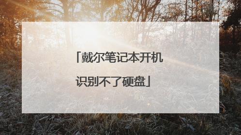 戴尔笔记本开机识别不了硬盘