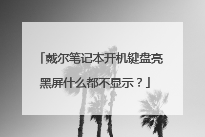 戴尔笔记本开机键盘亮黑屏什么都不显示?