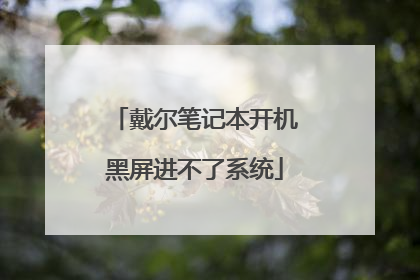戴尔笔记本开机黑屏进不了系统