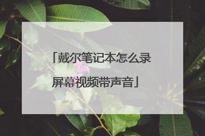戴尔笔记本怎么录屏幕视频带声音