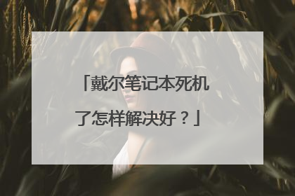 戴尔笔记本死机了怎样解决好？