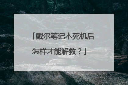 戴尔笔记本死机后怎样才能解救？