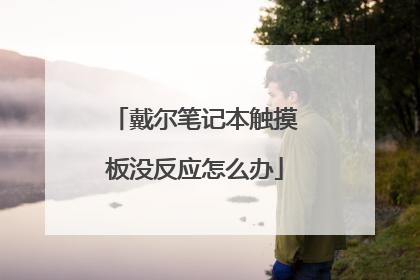 戴尔笔记本触摸板没反应怎么办