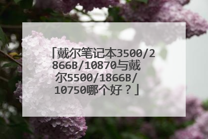 戴尔笔记本3500/2866B/10870与戴尔5500/1866B/10750哪个好?