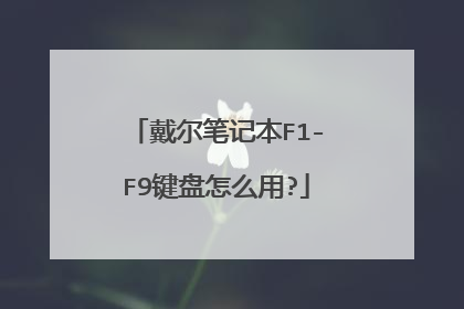 戴尔笔记本F1-F9键盘怎么用?