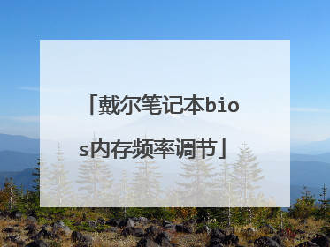 戴尔笔记本bios内存频率调节