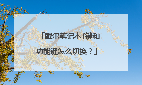 戴尔笔记本f键和功能键怎么切换？
