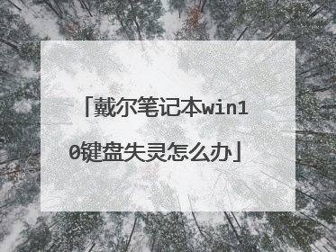 戴尔笔记本win10键盘失灵怎么办