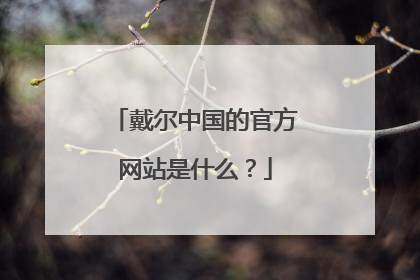 戴尔中国的官方网站是什么?
