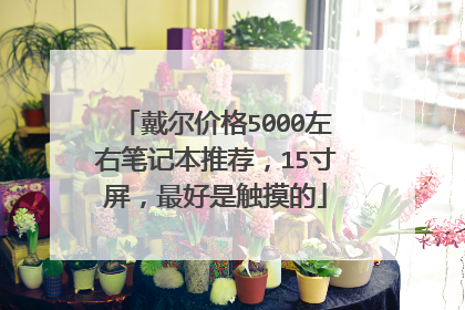 戴尔价格5000左右笔记本推荐,15寸屏,最好是触摸的