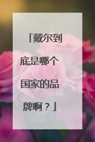 戴尔到底是哪个国家的品牌啊?