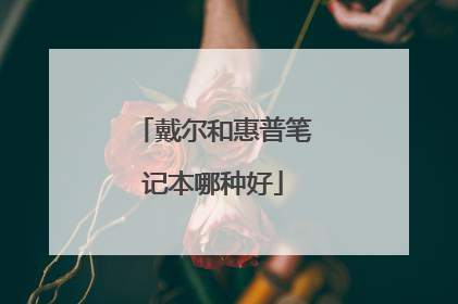 戴尔和惠普笔记本哪种好