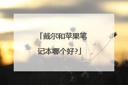 戴尔和苹果笔记本哪个好?