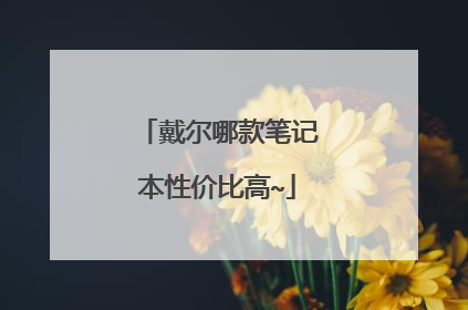 戴尔哪款笔记本性价比高~
