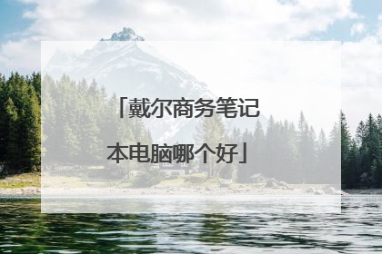 戴尔商务笔记本电脑哪个好