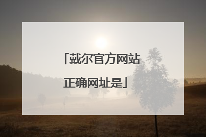 戴尔官方网站正确网址是