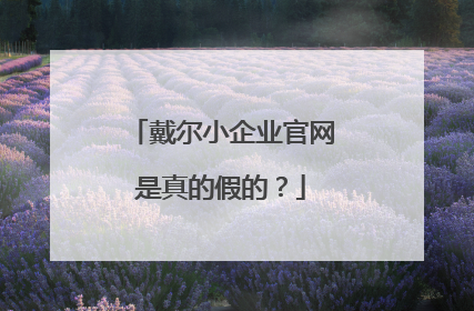 戴尔小企业官网是真的假的？