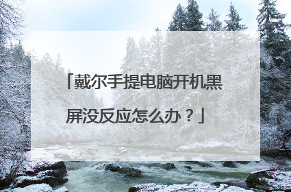 戴尔手提电脑开机黑屏没反应怎么办?