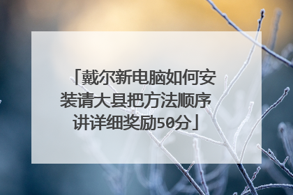 戴尔新电脑如何安装请大县把方法顺序讲详细奖励50分