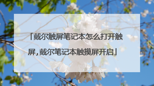 戴尔触屏笔记本怎么打开触屏,戴尔笔记本触摸屏开启
