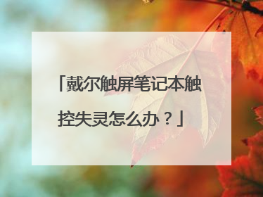 戴尔触屏笔记本触控失灵怎么办?