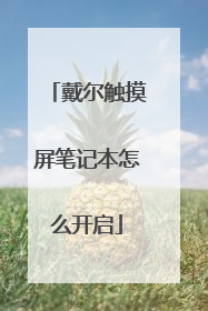 戴尔触摸屏笔记本怎么开启