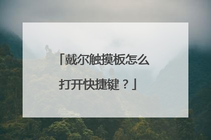 戴尔触摸板怎么打开快捷键?
