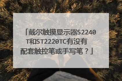 戴尔触摸显示器S2240T和ST2220TC有没有配套触控笔或手写笔?