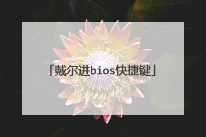 戴尔进bios快捷键