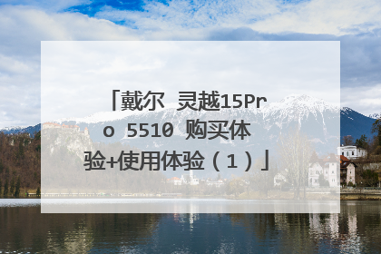 戴尔 灵越15Pro 5510 购买体验+使用体验(1)