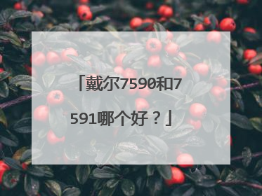 戴尔7590和7591哪个好?