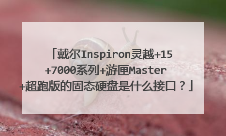 戴尔Inspiron灵越+15+7000系列+游匣Master+超跑版的固态硬盘是什么接口?