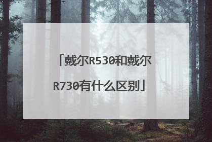 戴尔R530和戴尔R730有什么区别