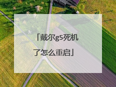 戴尔g5死机了怎么重启