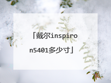 戴尔inspiron5401多少寸