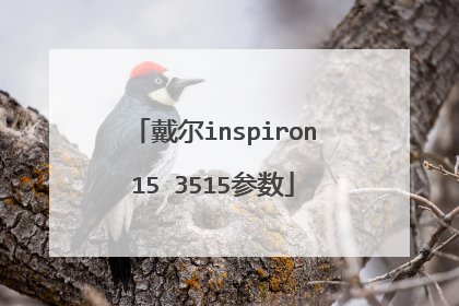 戴尔inspiron15 3515参数
