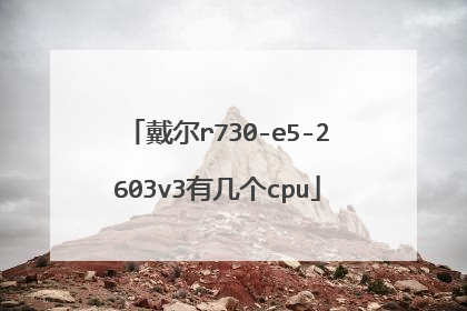 戴尔r730-e5-2603v3有几个cpu