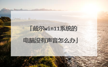 戴尔win11系统的电脑没有声音怎么办
