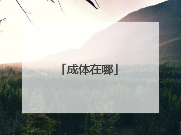 成体在哪