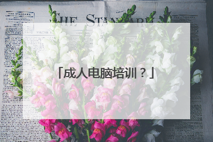 成人电脑培训？