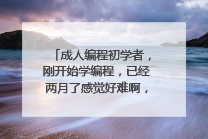 成人编程初学者,刚开始学编程,已经两月了感觉好难啊,有没有什么快速入门的方法呢?