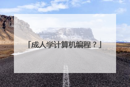 成人学计算机编程?
