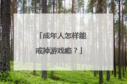 成年人怎样能戒掉游戏瘾?
