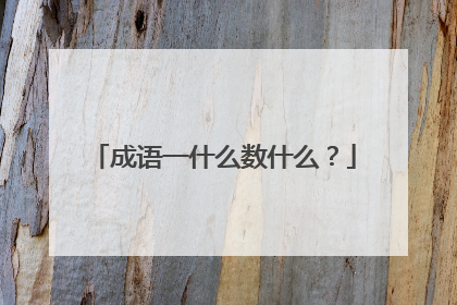 成语一什么数什么？