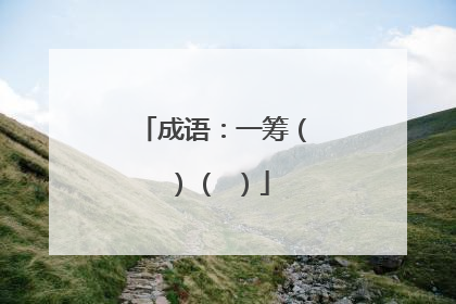 成语：一筹（ ）（ ）