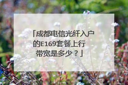 成都电信光纤入户的E169套餐上行带宽是多少?