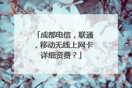 成都电信,联通,移动无线上网卡详细资费?
