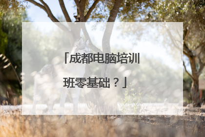 成都电脑培训班零基础?