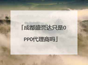 成都盛誉达只是OPPO代理商吗